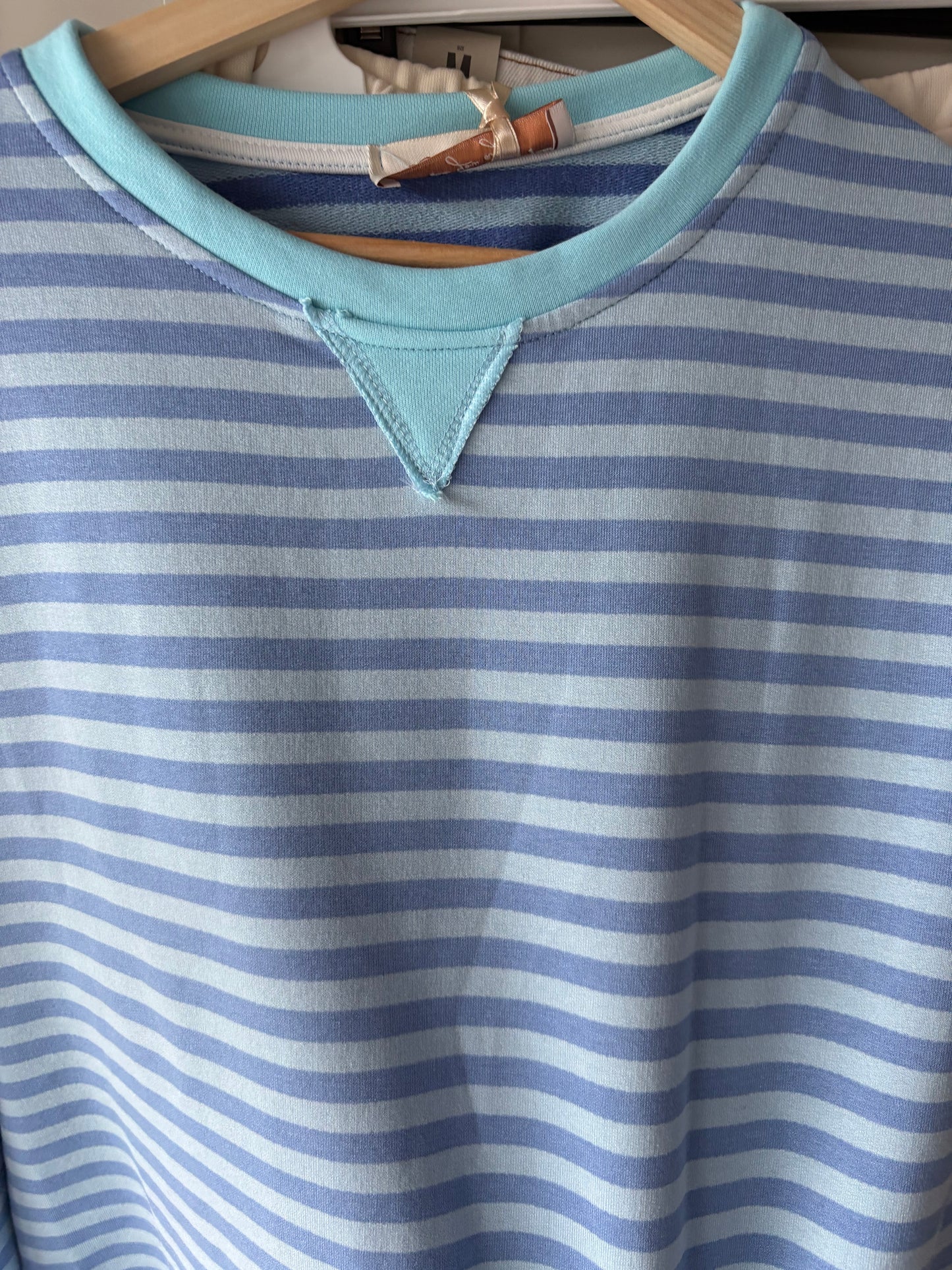 Sky Blue Stripe Sweatshirt
